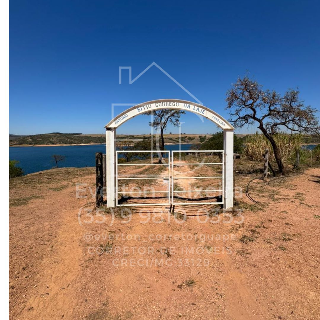 Café colhido no Sítio Córrego da Laje