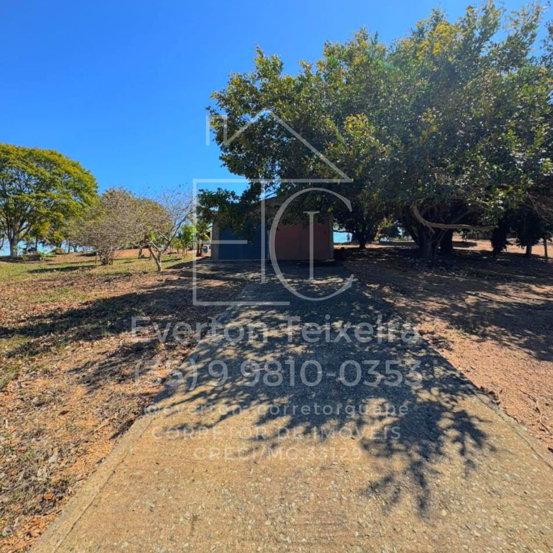 Plantação de café no Sítio Córrego da Laje