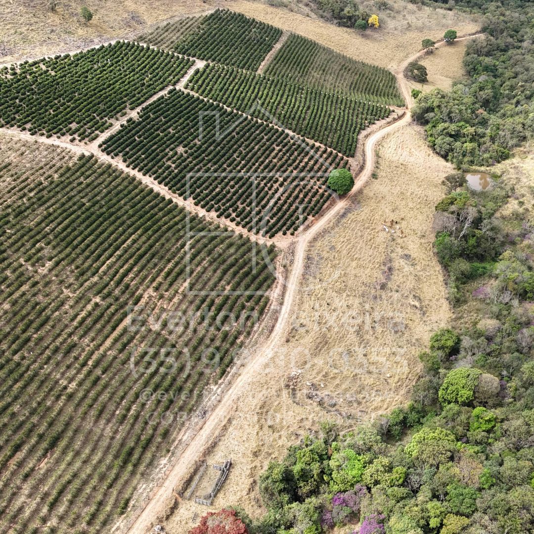 Sítio Mundo Novo - vista aérea